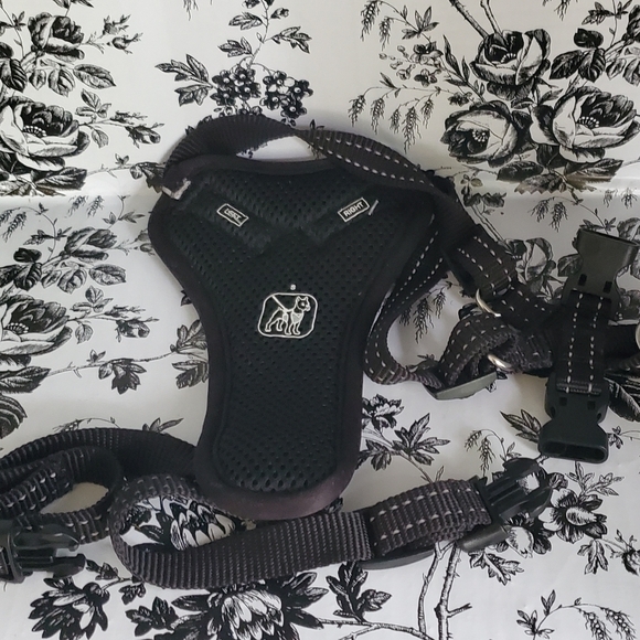 Dog Pack with small gold stained collar. - Picture 5 of 9